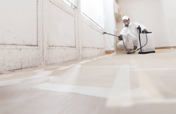 24/7 Emergency Mold Remediation experts in Coalport, PA